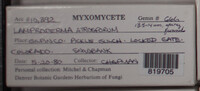Image Associated With the Occurence